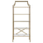 Serena - 5-Shelf Glass Bookshelf - Gold