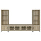 Sachin - TV Entertainment Center