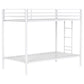 Alevera - Metal Bunk Bed With Ladder