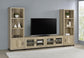 Sachin - TV Entertainment Center